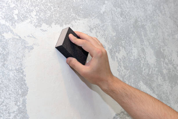 Best Water Damage & Mold Remediation  in Waldo, AR