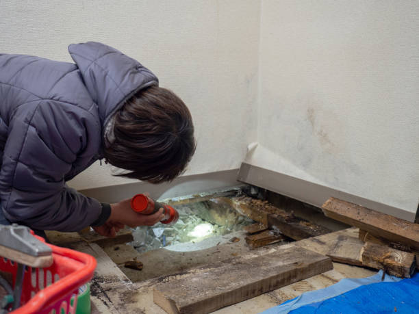 Best Residential Mold Inspection & Testing  in Waldo, AR