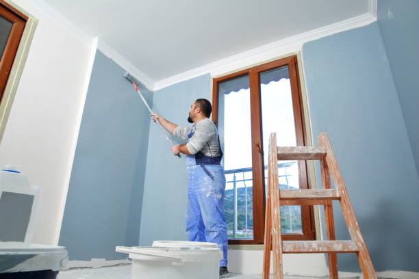 Best Basement Mold Removal  in Waldo, AR