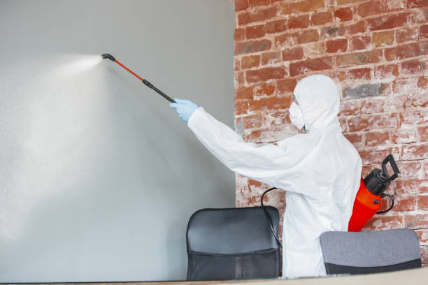 Best Environmental Consulting for Mold Prevention  in Waldo, AR