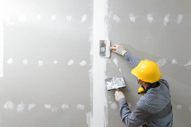 Best Mold Documentation for Insurance Claims  in Waldo, AR