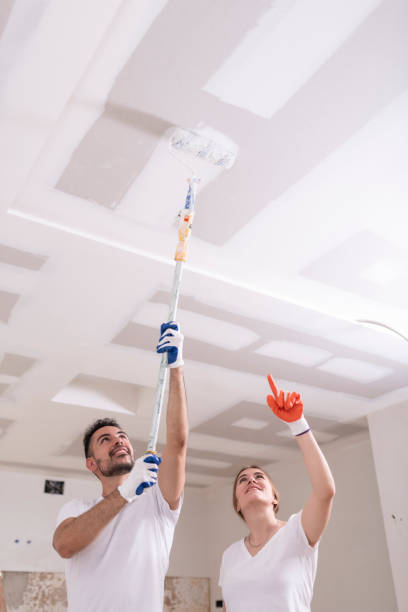 Best Mold Damage Restoration  in Waldo, AR
