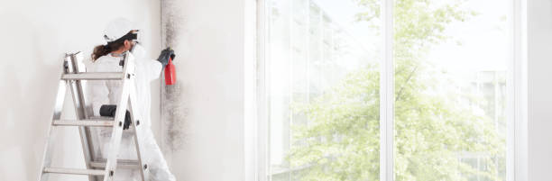 Best Comprehensive Air Testing for Mold Contaminants  in Waldo, AR