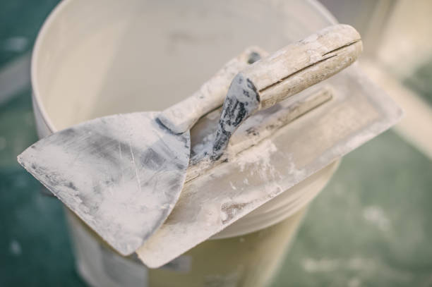 Best Airborne Mold Testing  in Waldo, AR